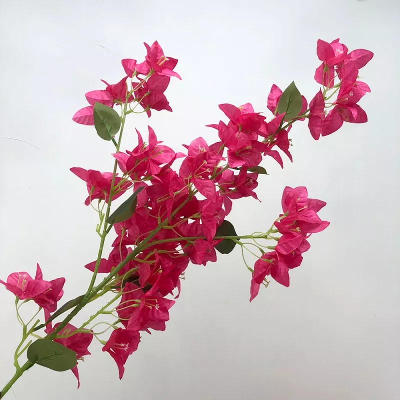 silk bougainvillea tree